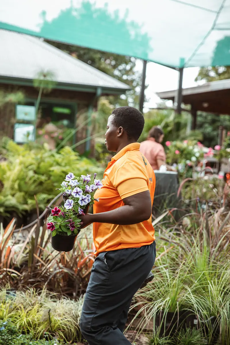 olive-tree-garden-centre-friendly-assistance Olive Tree Garden Centre Friendly Assistance