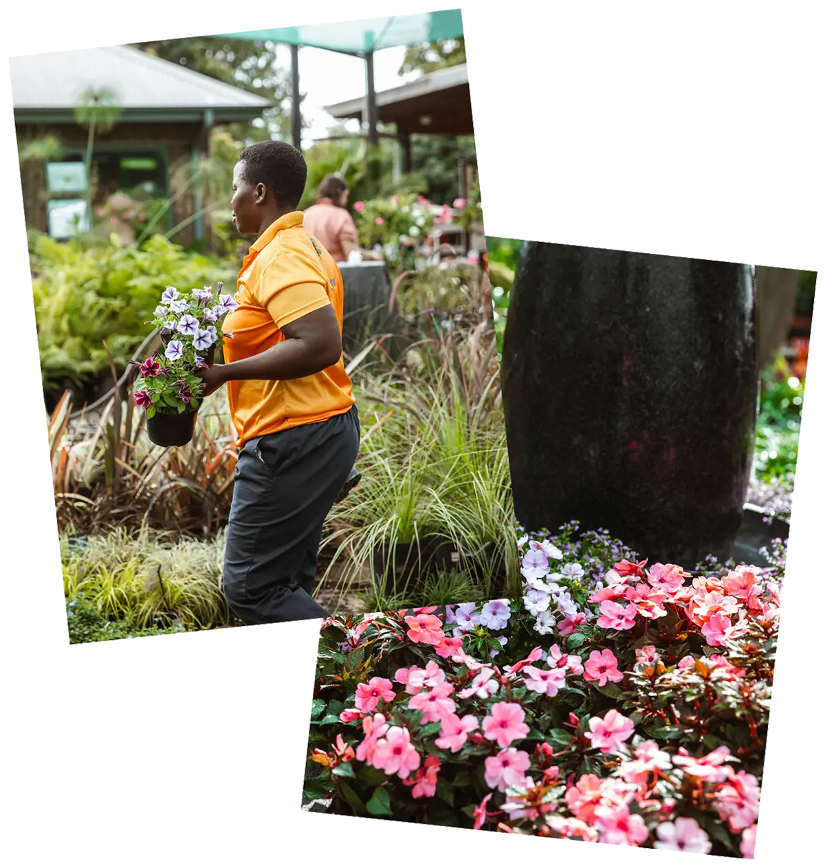olive-tree-group-garden-centre-mobile